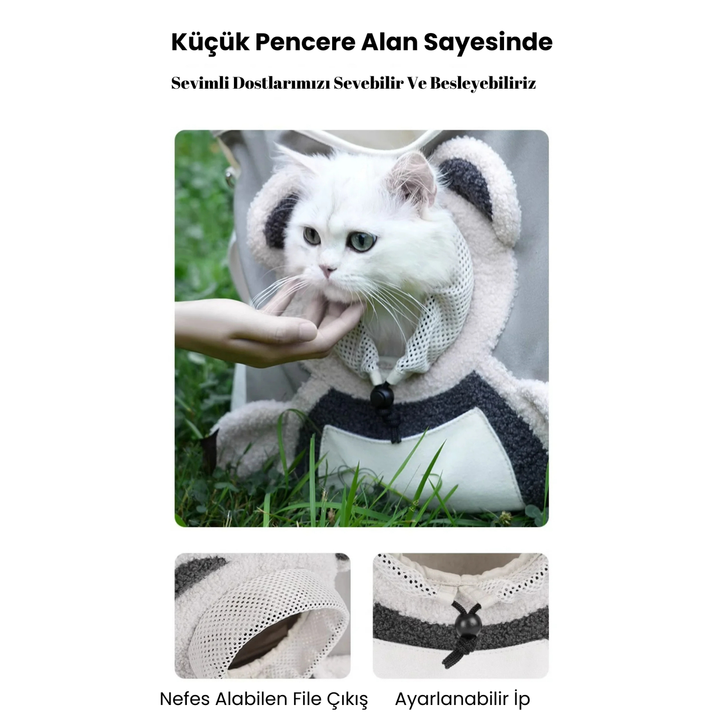 Sevimli Dostumuzun Çantası